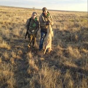 Meet your Posher, Dylan